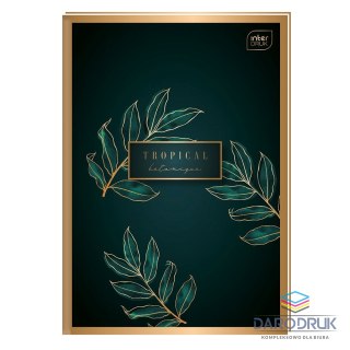 Interdruk Brulion A5 96k. krata Interdruk (BRA5#MET)