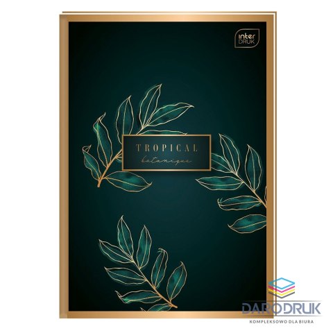 Interdruk Brulion A5 96k. krata Interdruk (BRA5#MET)
