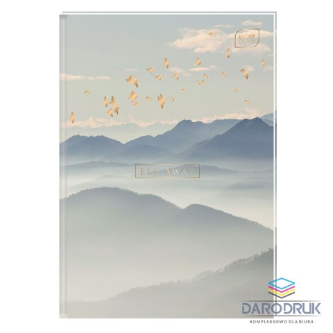 Interdruk Brulion A5 96k. krata Interdruk (BRA5#MET)