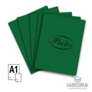 Protos Brystol A1 zielony ciemny 160-180g 20k [mm:] 610x860 Protos