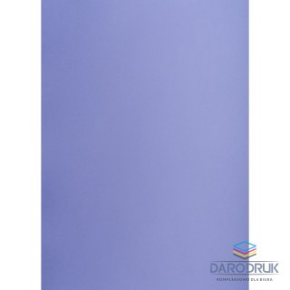 TOP-2000 Brystol purpurowy A1 purpurowy 160g [mm:] 610x860 TOP-2000 (400149563)