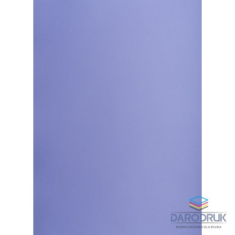 TOP-2000 Brystol purpurowy A1 purpurowy 160g [mm:] 610x860 TOP-2000 (400149563)