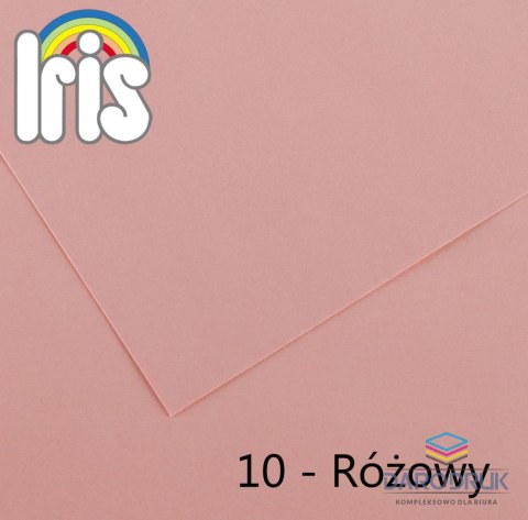 Canson Brystol Iris 10 B1 różowy 240g 25k [mm:] 700x1000 Canson (200040449)