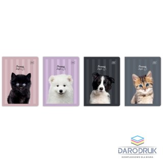 Interdruk Zeszyt A5 PUPPY SIGN 32k. 70g linia kolor Interdruk