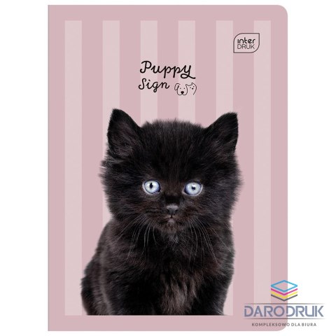 Interdruk Zeszyt A5 PUPPY SIGN 32k. 70g linia kolor Interdruk