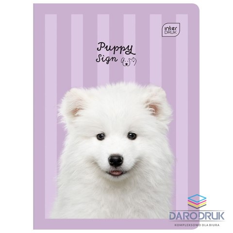 Interdruk Zeszyt A5 PUPPY SIGN 32k. 70g linia kolor Interdruk