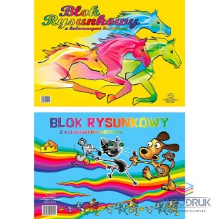 Protos Blok rysunkowy A3 kolorowy 80g 19k [mm:] 297x420 Protos