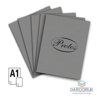 Protos Brystol A1 szary 160-180g 20k [mm:] 610x860 Protos
