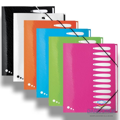Elba Teczka z przegródkami Art Pop A4 kolor: mix 12 przegródek Elba (400058483)