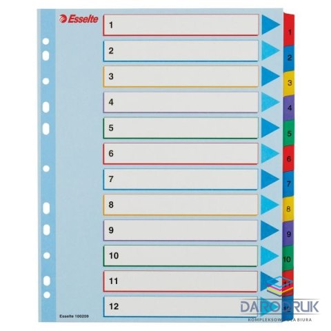 Esselte Przekładka numeryczna MYLAR A4 mix kolorów 160g 12k 1-12 Esselte (100209)