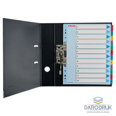Esselte Przekładka numeryczna MYLAR A4 mix kolorów 160g 12k 1-12 Esselte (100209)