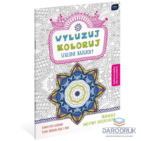 Interdruk Kolorowanka Wyluzuj Koloruj Szalone bazgroły Interdruk (MAB5WYL)