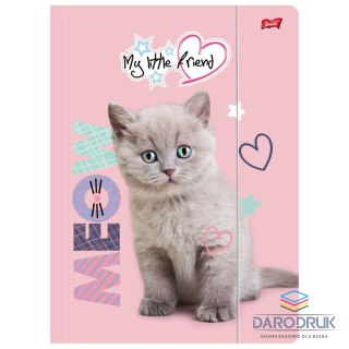 Unipap Teczka kartonowa na gumkę My Little Friend FLUFFY KITTY A4 mix 300g Unipap