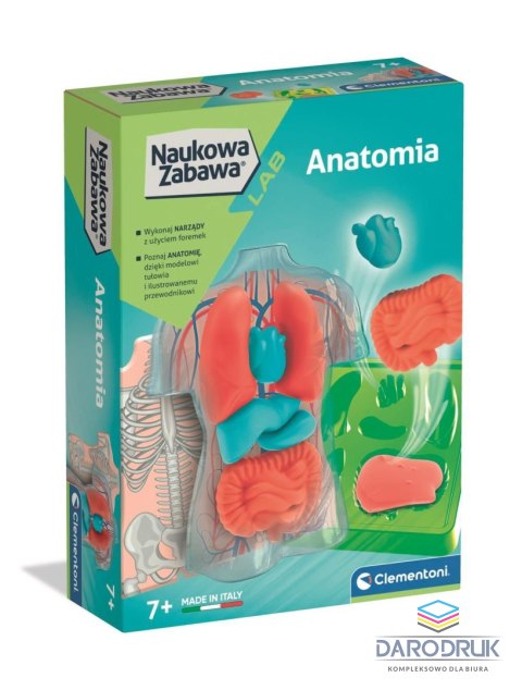 Clementoni Zestaw kreatywny dla dzieci Anatomia Clementoni (50252)