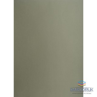 Creatinio Brystol SZARY CIEMNY B1 SZARY 225g 25k Creatinio (400150255)