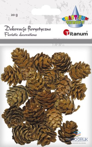 Titanum Ozdoba drewniana Craft-Fun Series szyszki Titanum (5903714533688)