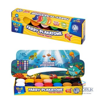 Astra Farby plakatowe kolor: mix 20ml 12 kolor. Astra (301123045)