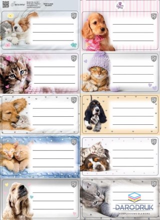 Beniamin Naklejka na zeszyt The Sweet Pets kids Beniamin