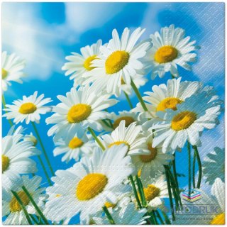 Paw Serwetki TaT Sun Daisies mix bibuła [mm:] 330x330 Paw (TL126600)