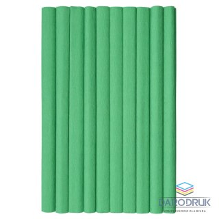 TOP-2000 Bibuła marszczona zielony 20mm x 500mm TOP-2000 (400153937)