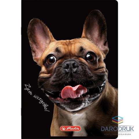 Herlitz Zeszyt A6 Do Słówek Crazy Animal 16k. 70g kratka Herlitz (400196842)