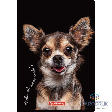 Herlitz Zeszyt A6 Do Słówek Crazy Animal 16k. 70g kratka Herlitz (400196842)