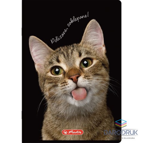Herlitz Zeszyt A6 Do Słówek Crazy Animal 16k. 70g kratka Herlitz (400196842)
