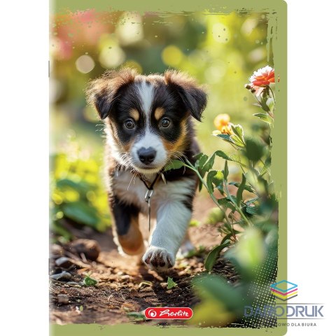 Herlitz Zeszyt A5 Animals 16k. 70g gładki Herlitz (400196854)