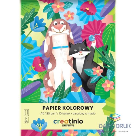 Top 2000 Papier kolorowy A5 Creatinio mix 80g Top 2000 (400176683)