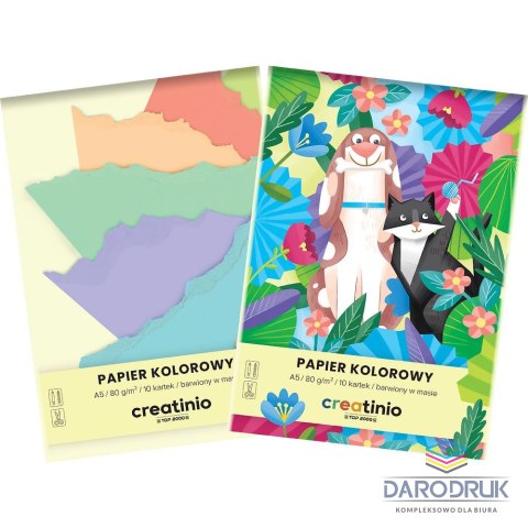 Top 2000 Papier kolorowy A5 Creatinio mix 80g Top 2000 (400176683)