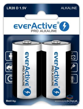 Everactive Baterie Pro Alkaline LR20 Everactive