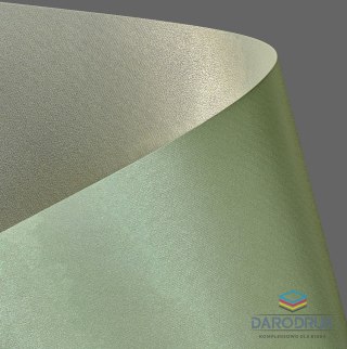 Galeria Papieru Papier ozdobny (wizytówkowy) A4 Prime zielony 220g Galeria Papieru (203613)