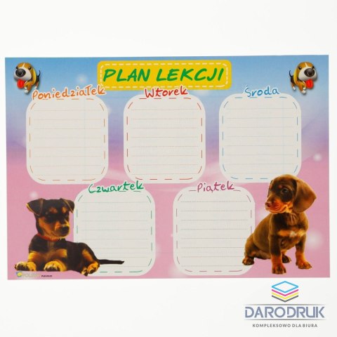 Polsyr Plan lekcji Polsyr
