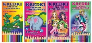 Sdm Kredki ołówkowe 12 kol. Sdm