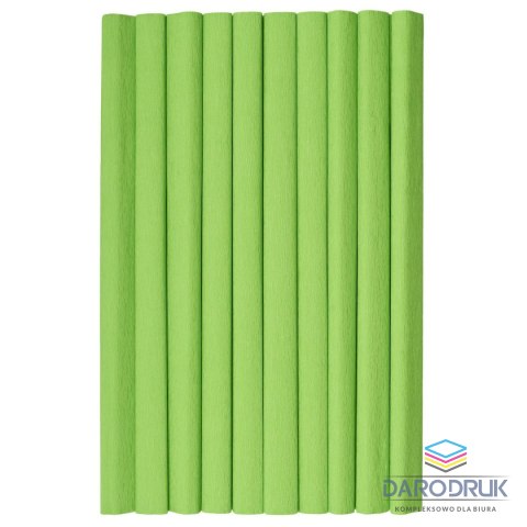 TOP-2000 Bibuła marszczona jasnozielony 20mm x 500mm TOP-2000 (400153920)