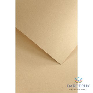 Galeria Papieru Papier ozdobny (wizytówkowy) A4 nature beżowy 120g Galeria Papieru (206717)