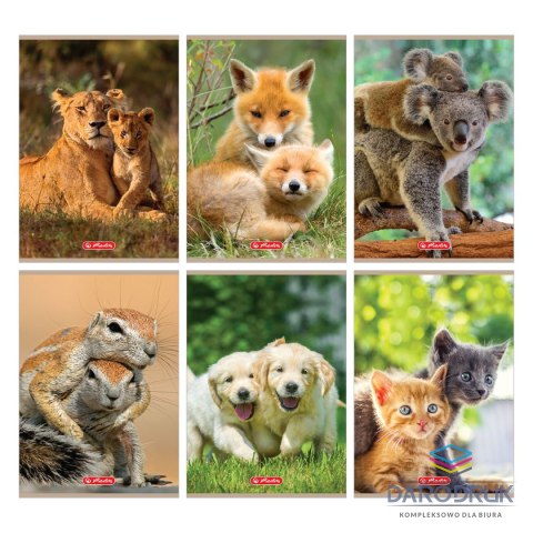 Herlitz Zeszyt A5 Animals 9583055 16k. 70g linia kolor Herlitz (400197967)