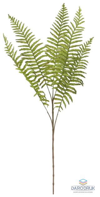 Home And Garden Kwiaty bukiet paproci 75cm Home And Garden (2545)