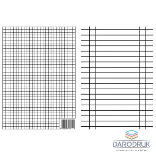 Interdruk Liniuszek A4 Interdruk