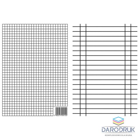 Interdruk Liniuszek A4 Interdruk