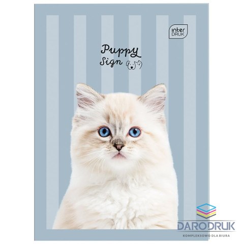 Interdruk Zeszyt A5 32k. 70g trzy linie Interdruk