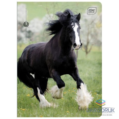 Interdruk Zeszyt A5 32k. 70g trzy linie Interdruk