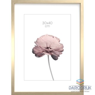 Styler Ramka PRAGUE PC [mm:] 300x400 Styler