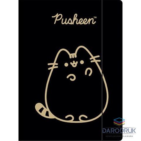 Unipap Teczka kartonowa na gumkę Pusheen gold A4 różne 300g Unipap
