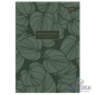 Interdruk Brulion A5 96k. 70g czysty Interdruk (BRA5SZFG)