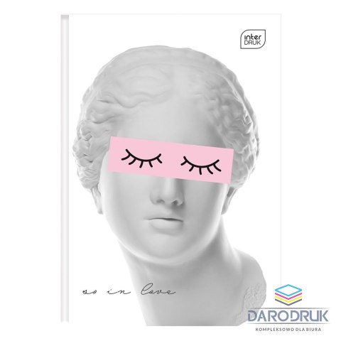 Interdruk Brulion A5 96k. 70g czysty Interdruk (BRA5SZFG)