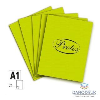Protos Brystol kolor zielony limonka a1 A1 limonkowy 20k Protos (1031)