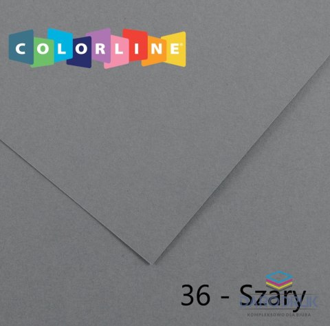 Canson Brystol Colorline 36 szary 150g 10k [mm:] 500x650 Canson (200041412)