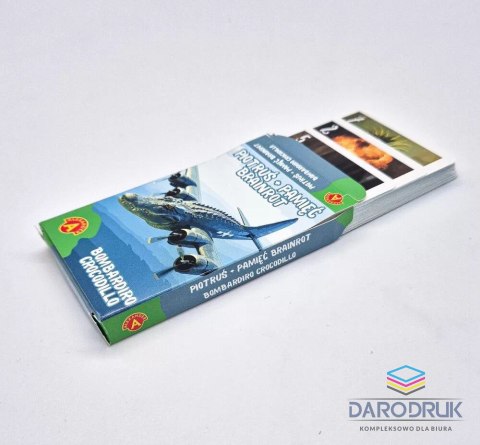 Alexander Karty Piotruś Brainrot Bombardiro Crocodillo Alexander 25 sztuk