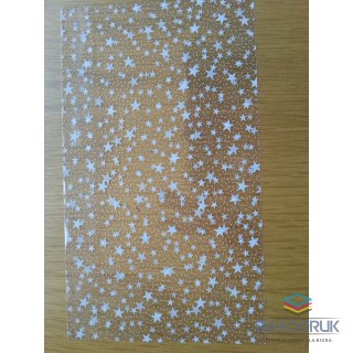 Torba prezentowa torebka folia [mm:] 200x350 (M2)